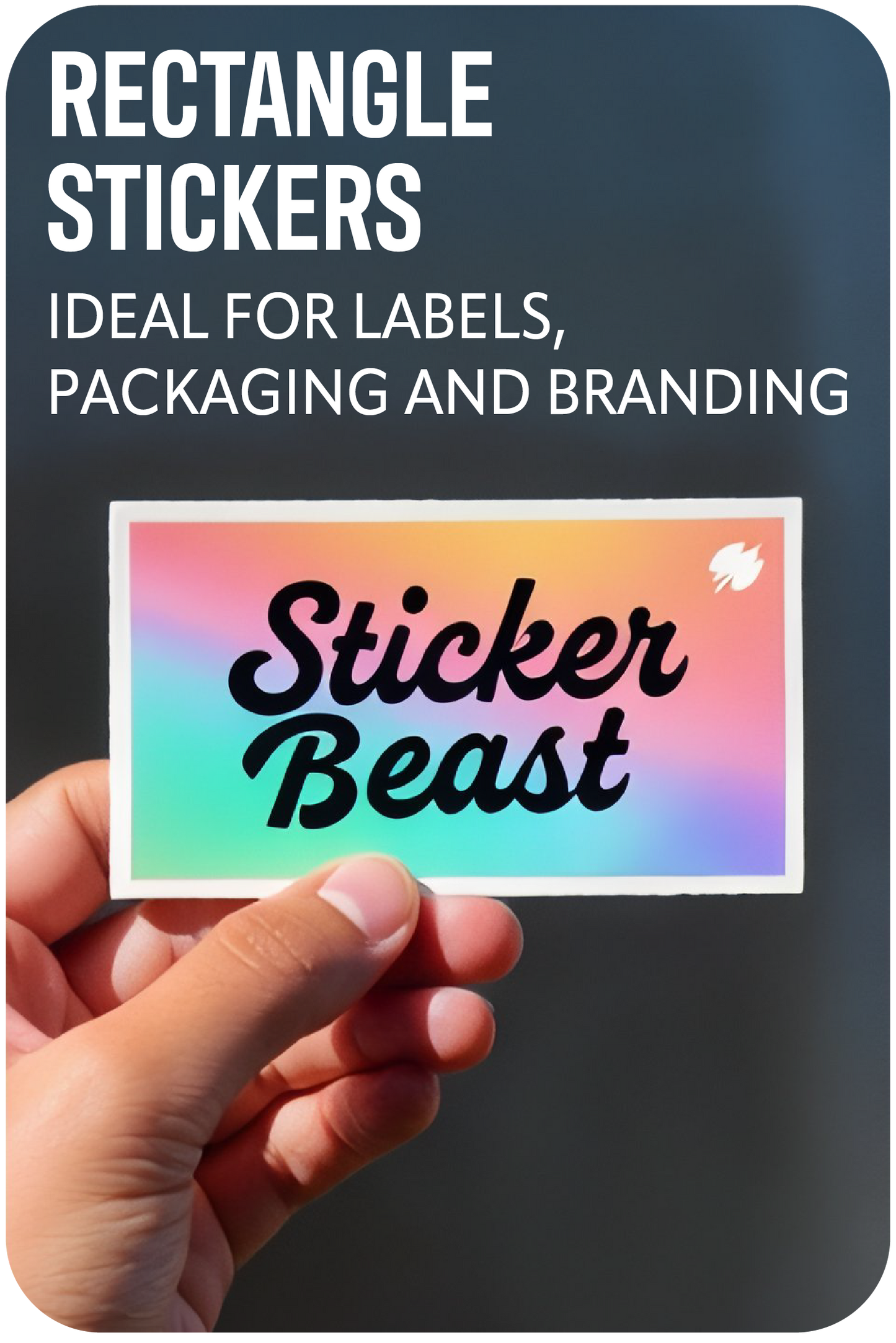 PEGATINAS RECTANGULARES